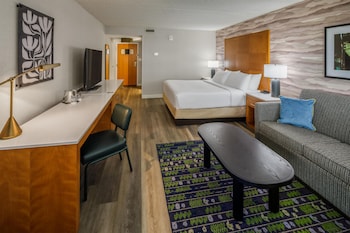 Room, 1 King Bed with Sofa bed
