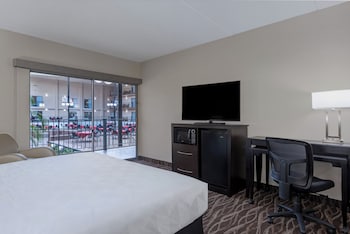 Standard Room, 1 King Bed (Holidome View)