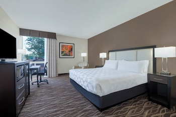 Standard Room, 1 King Bed