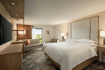 Room, 1 King Bed