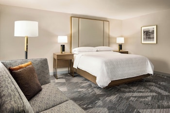 Room, 1 King Bed with Sofa bed