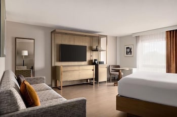 Room, 1 King Bed with Sofa bed