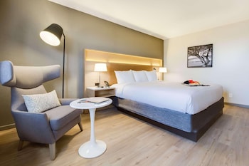 Room, 1 King Bed, Non Smoking