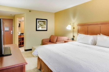 Room, 1 King Bed, Accessible, Non Smoking