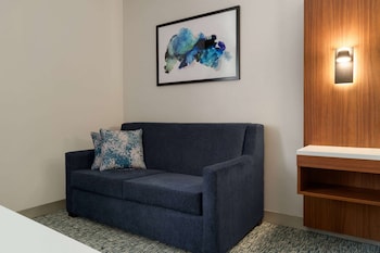 Executive Room, 1 King Bed with Sofa bed, Non Smoking