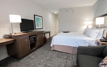 Room, 1 King Bed with Sofa bed