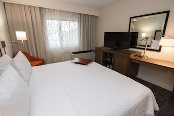 King Room, Accessible, Bathtub