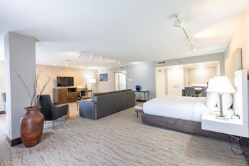 Studio, 1 King Bed with Sofa bed (Sitting Area)