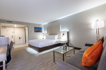 Room, 1 King Bed, Accessible (Mobility and Hearing)