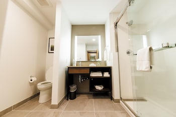 Room, 1 King Bed, Accessible (Roll-In Shower)