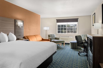Studio Suite, 1 King Bed, Non Smoking
