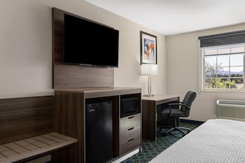 Room, 1 King Bed, Non Smoking