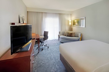 Room, 1 King Bed with Sofa bed (Hearing Accessible)