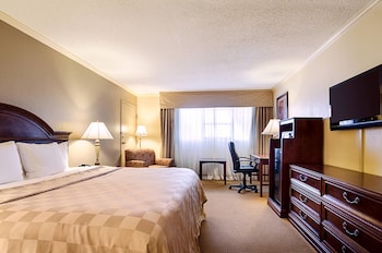 Room, 1 King Bed, Non Smoking, Poolside