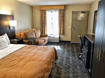 Standard Room, 1 King Bed with Sofa bed, Non Smoking (1 Person Sofa Bed)