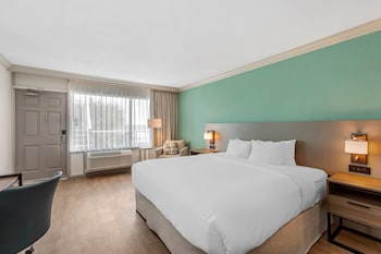 Room, 1 King Bed, Non Smoking