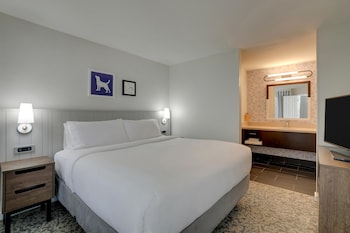 Suite, 1 King Bed (One Bedroom)