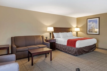 Room, 1 King Bed with Sofa bed, Non Smoking