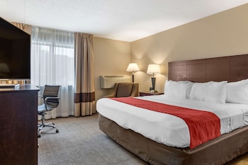 Standard Room, 1 King Bed, Non Smoking