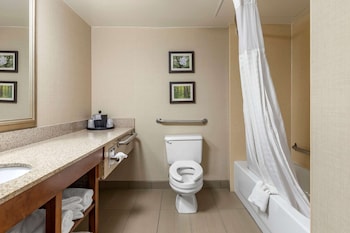 Standard Room, 2 Double Beds, Accessible, Non Smoking (Accessible Bathtub)