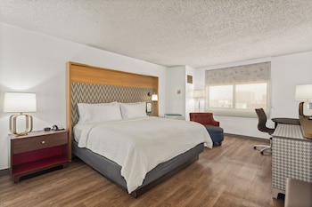 Standard Room, 1 King Bed