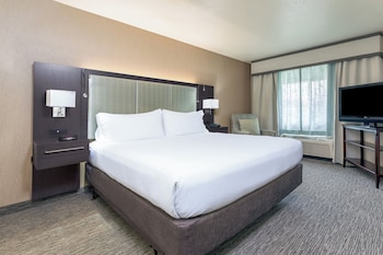Standard Room, 1 King Bed, Accessible, Non Smoking (Comm, Roll Shwr)