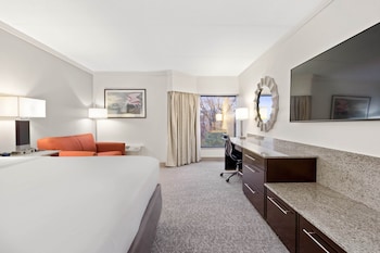 Room, 1 King Bed (Hearing Accessible)