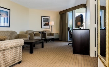 Suite, 1 King Bed with Sofa bed, Accessible (Mobility, Roll-In Shower)