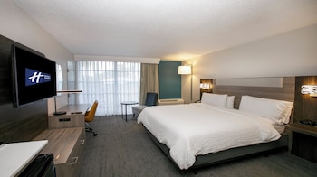 Standard Room, 1 King Bed, Accessible (Mobility, Roll-In Shower)