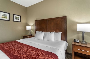 Standard Room, 1 King Bed, Non Smoking