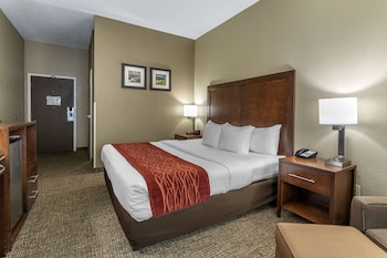 Room, 1 King Bed, Accessible, Non Smoking