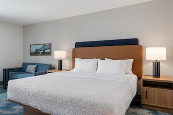 Room, 1 King Bed with Sofa bed, Microwave