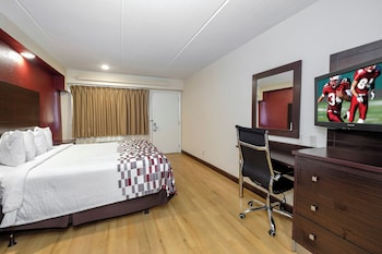 Room, 1 King Bed, Accessible, Non Smoking