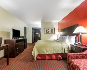 Standard Room, 1 King Bed with Sofa bed, Non Smoking