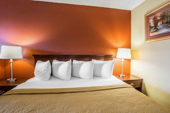 Room, 1 King Bed with Sofa bed, Accessible, Non Smoking