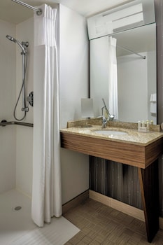 Room, 1 King Bed with Sofa bed (Mobility Accessible, Roll-in Shower)