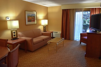 Suite, Accessible, Non Smoking