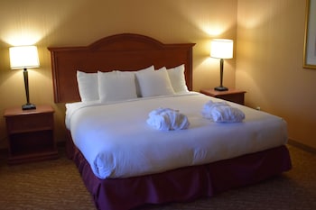 Suite One King Bed Non-Smoking