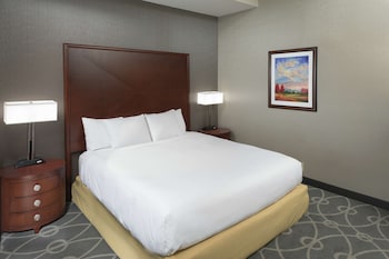 Premium Room, 1 King Bed, Accessible, Non Smoking