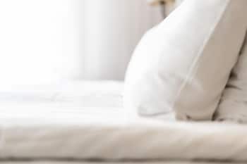 Standard Single Room, 1 Twin Bed