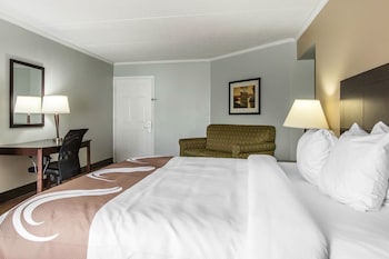 Standard Room, 1 King Bed with Sofa bed, Non Smoking