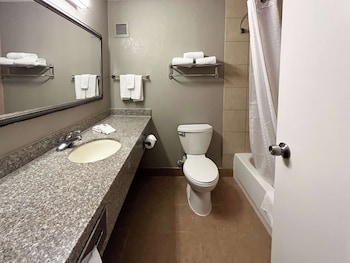 Deluxe Room, 1 King Bed, Non Smoking, Refrigerator & Microwave