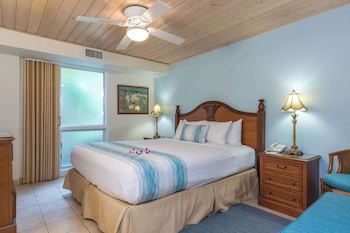 Premium Room, Multiple Beds
