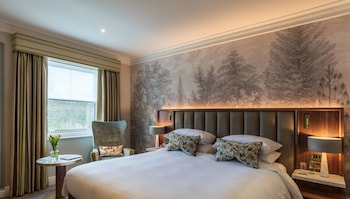 Plush Room