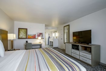 Room, 1 King Bed, Non Smoking