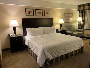 Suite, 1 King Bed