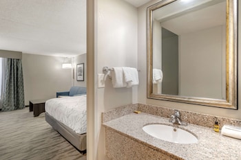 Standard Room, 1 King Bed, Non Smoking, Refrigerator & Microwave (with Single Sofabed;Larger Room)