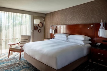 Room, 1 King Bed (Mobility/Hearing Access, Roll-In Shwr)