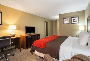 Standard Room, 1 King Bed, Non Smoking