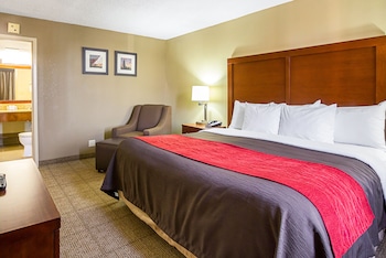 Standard Room, 1 King Bed, Non Smoking